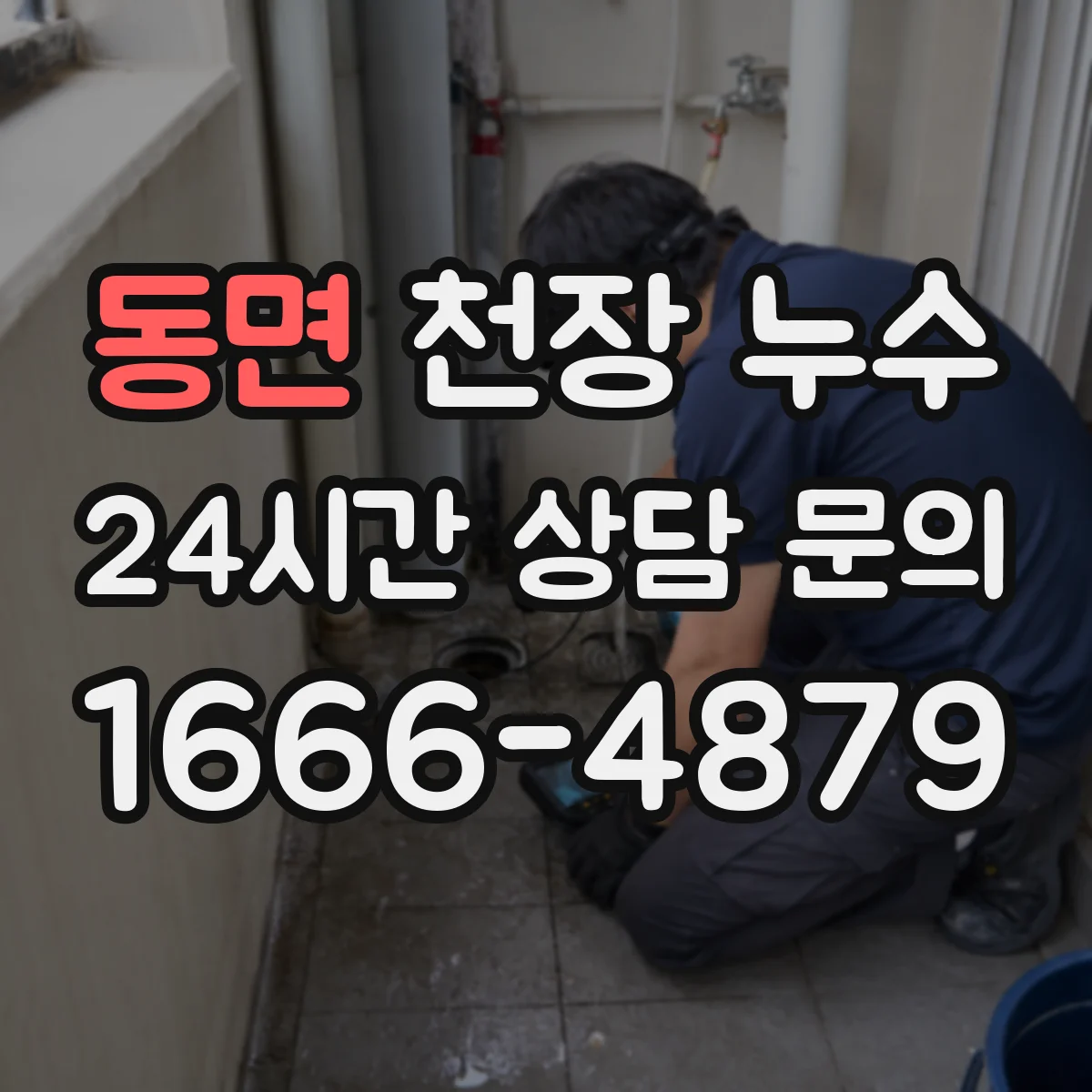 동면 천장 누수