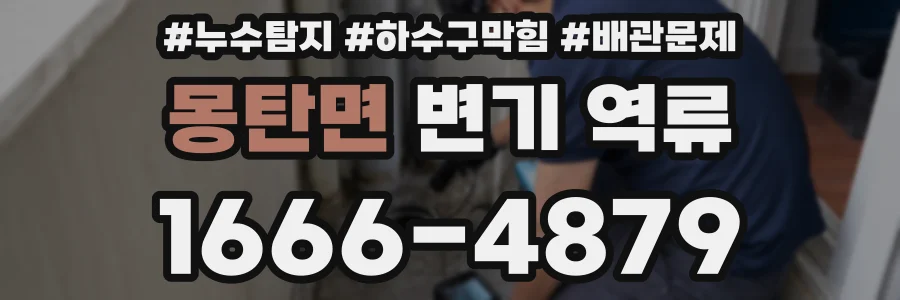 몽탄면 변기 역류