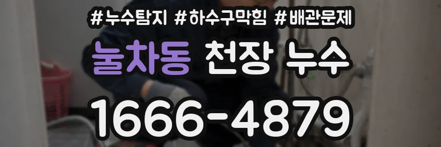 눌차동 천장 누수