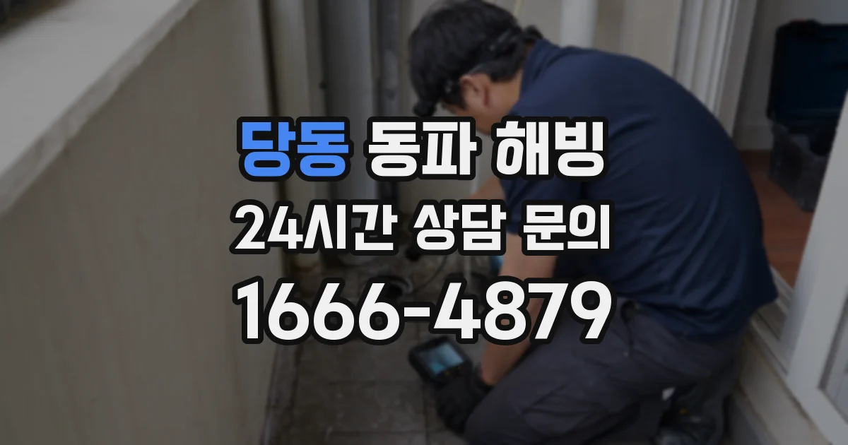 당동 동파 해빙