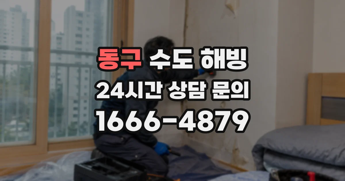 동구 수도 해빙