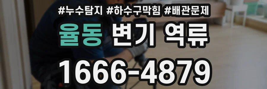 율동 변기 역류