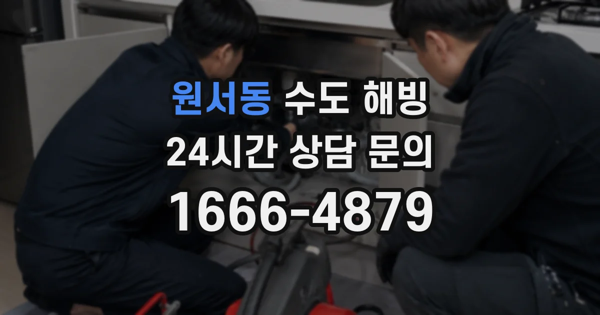 원서동 수도 해빙