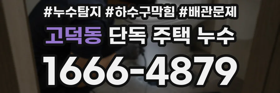 고덕동 단독 주택 누수