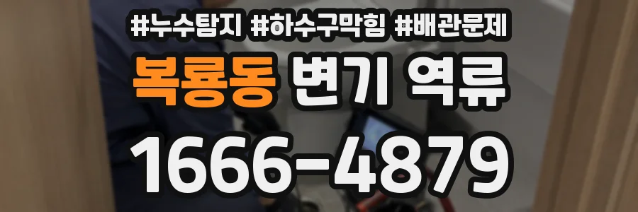 복룡동 변기 역류