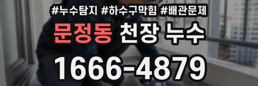 문정동 천장 누수