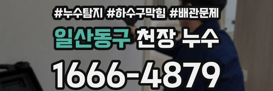 일산동구 천장 누수