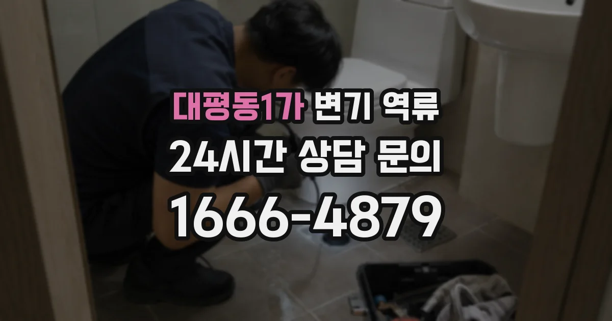 대평동1가 변기 역류