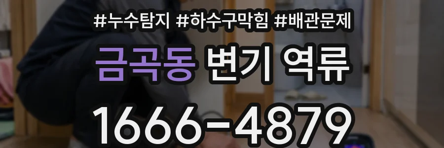 금곡동 변기 역류