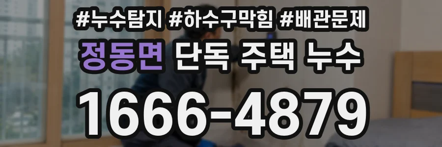 정동면 단독 주택 누수