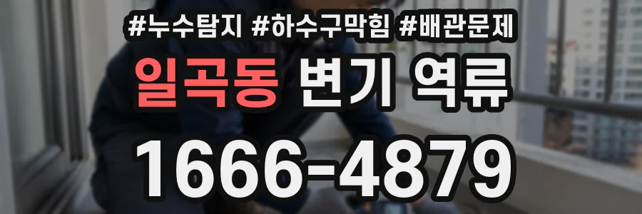 일곡동 변기 역류