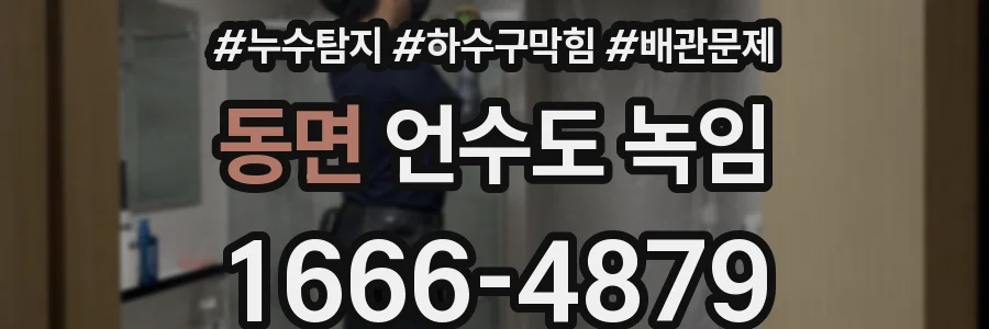 동면 언수도 녹임
