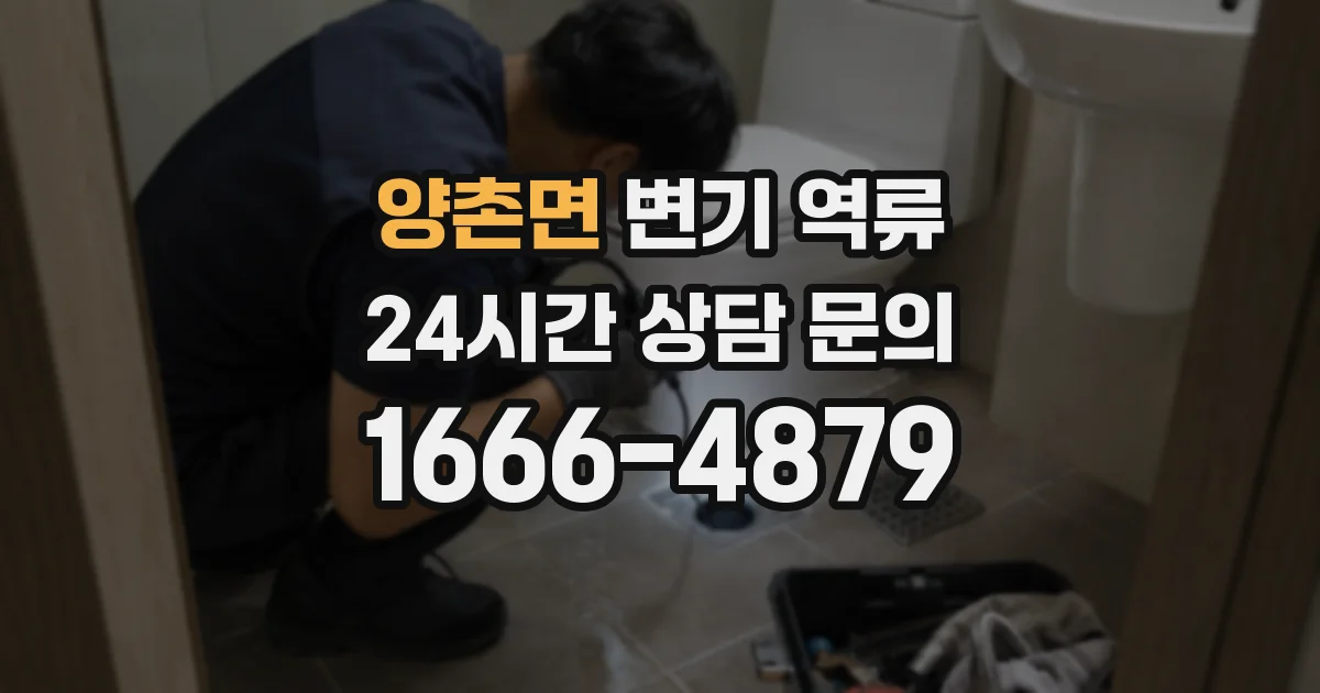 양촌면 변기 역류