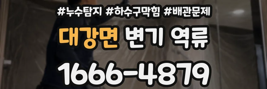 대강면 변기 역류