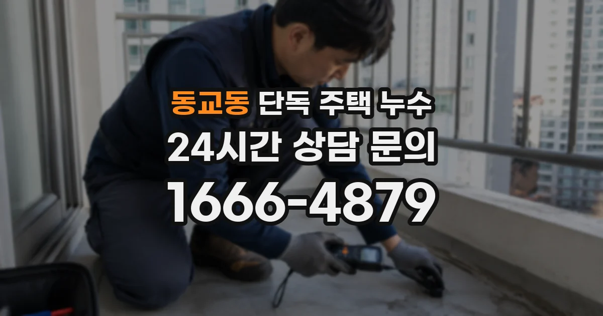 동교동 단독 주택 누수