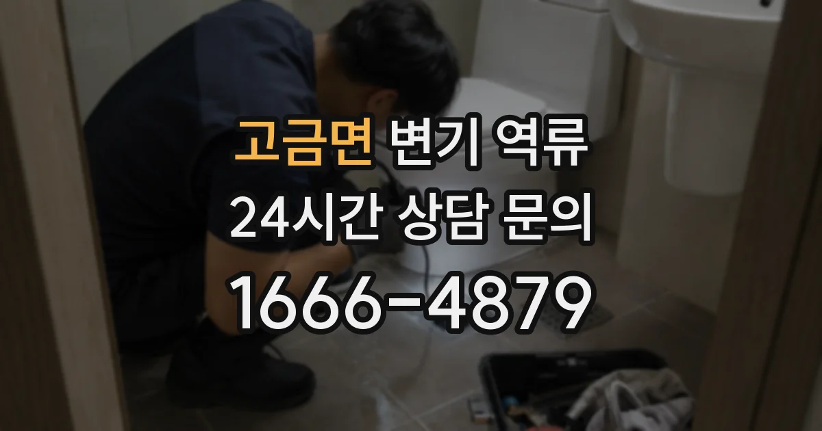 고금면 변기 역류