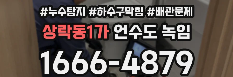 상락동1가 언수도 녹임