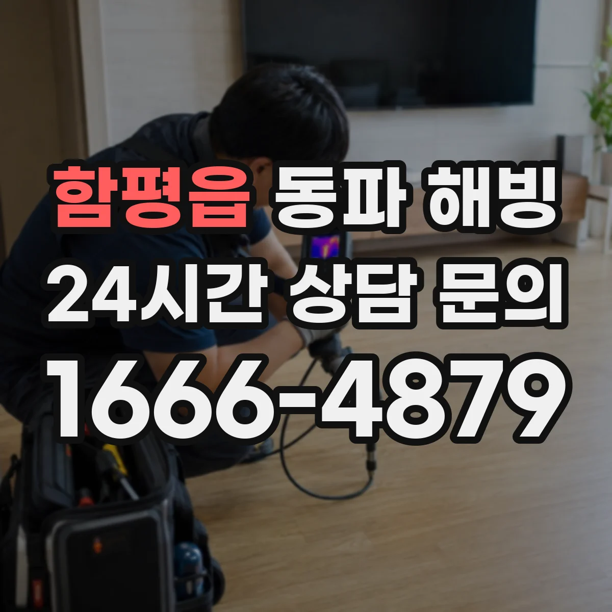 함평읍 동파 해빙