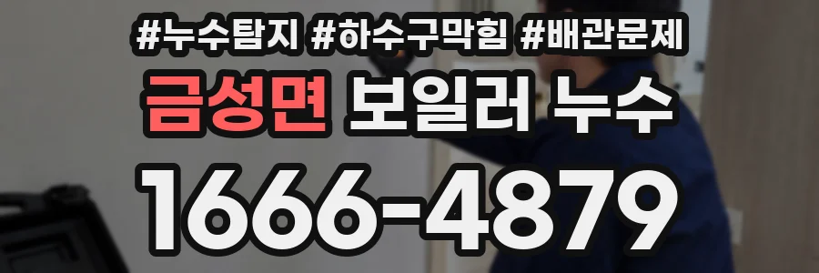금성면 보일러 누수