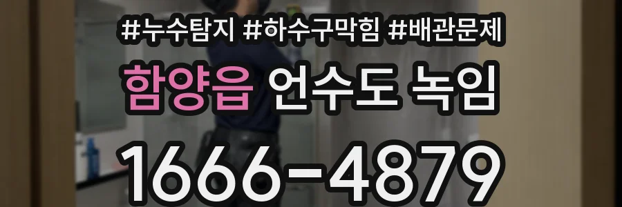 함양읍 언수도 녹임