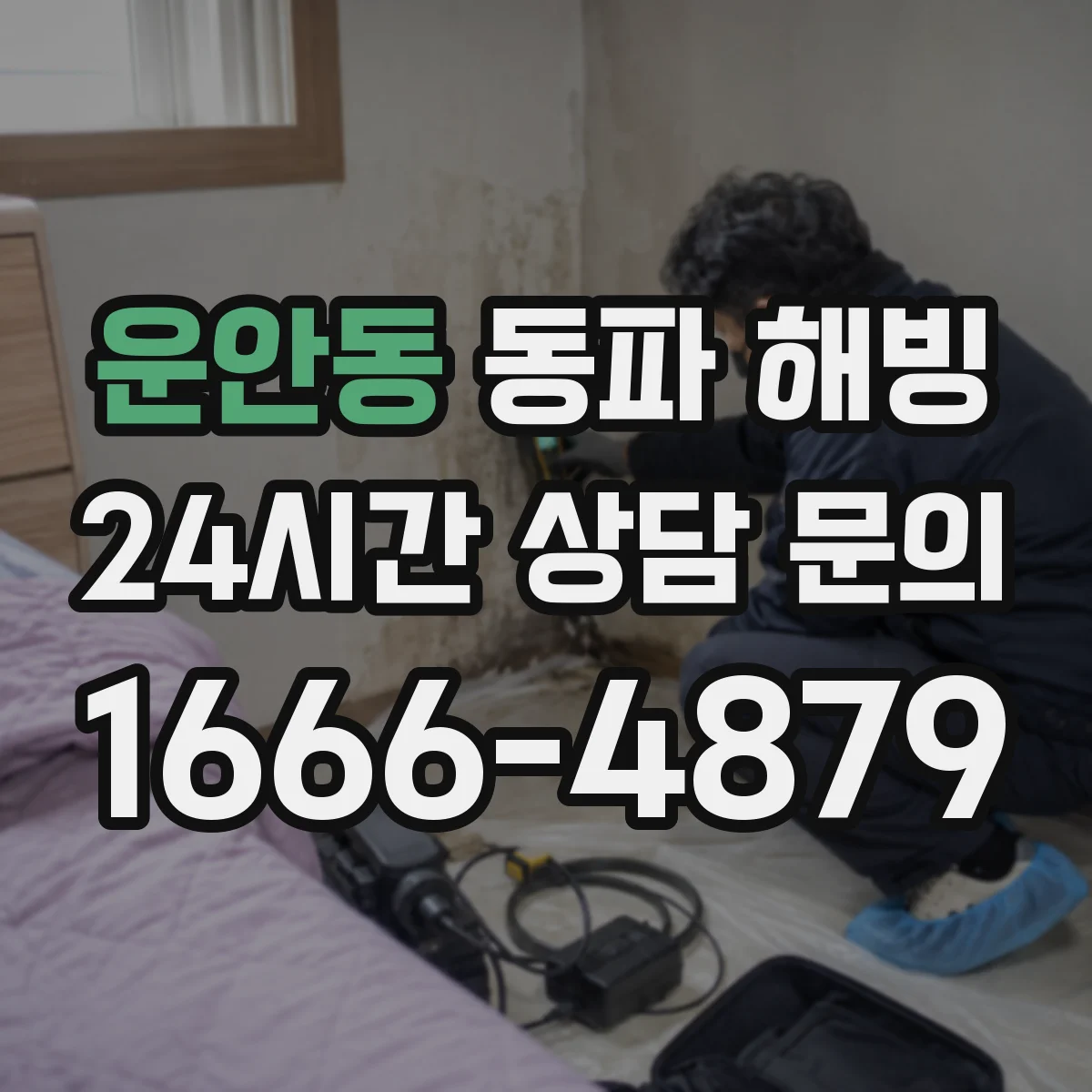 운안동 동파 해빙