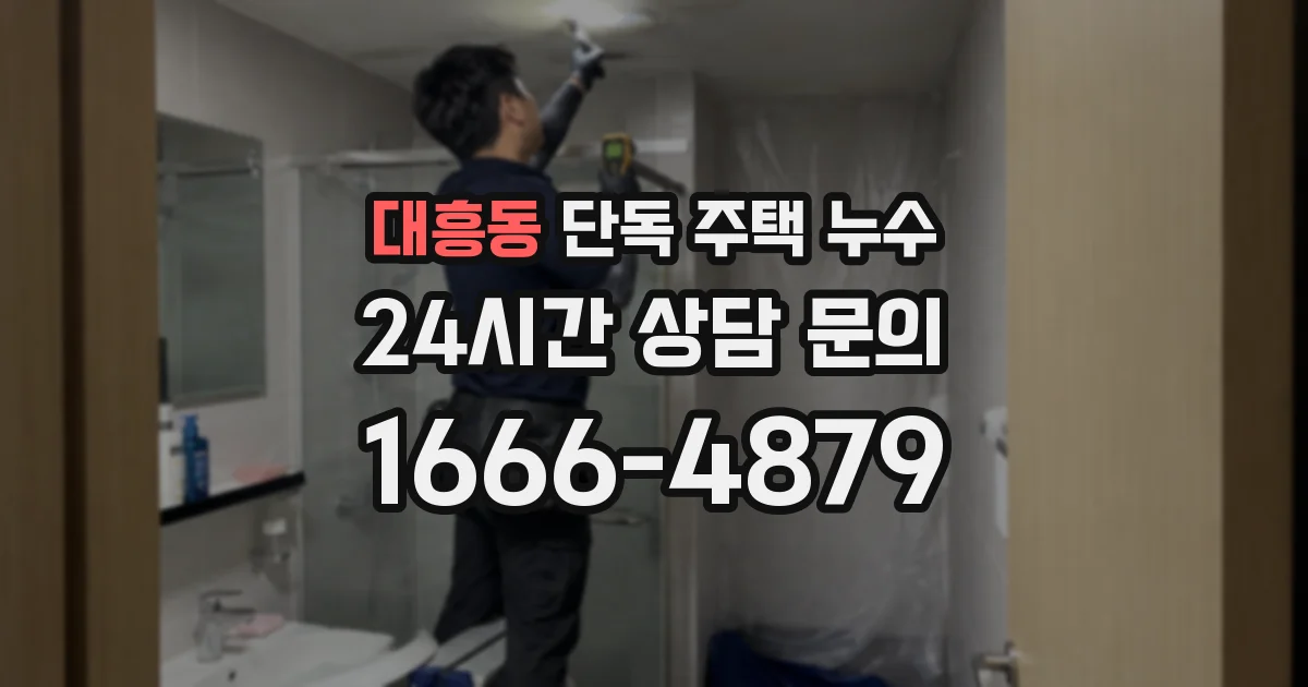 대흥동 단독 주택 누수