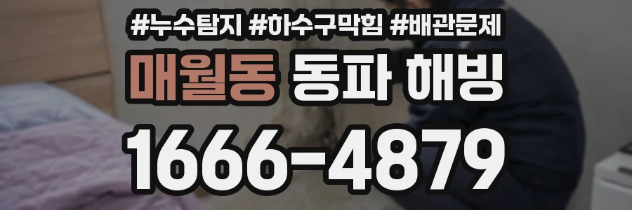 매월동 동파 해빙