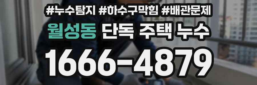 월성동 단독 주택 누수