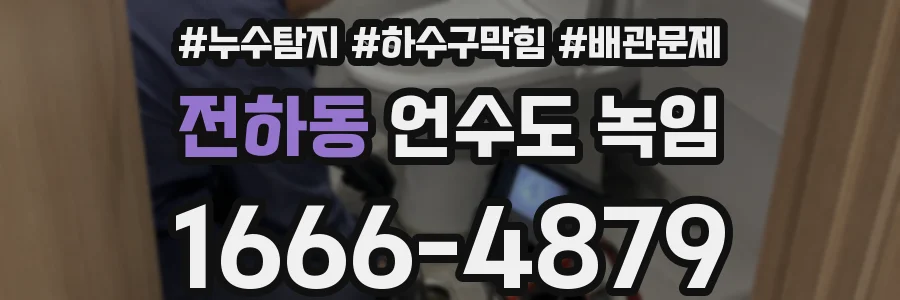전하동 언수도 녹임