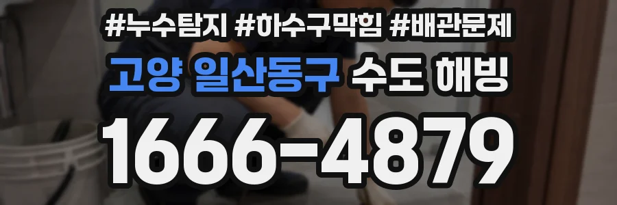 고양 일산동구 수도 해빙