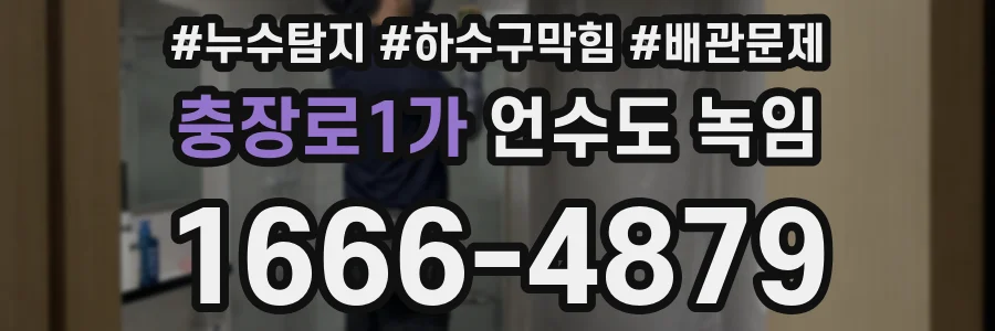 충장로1가 언수도 녹임