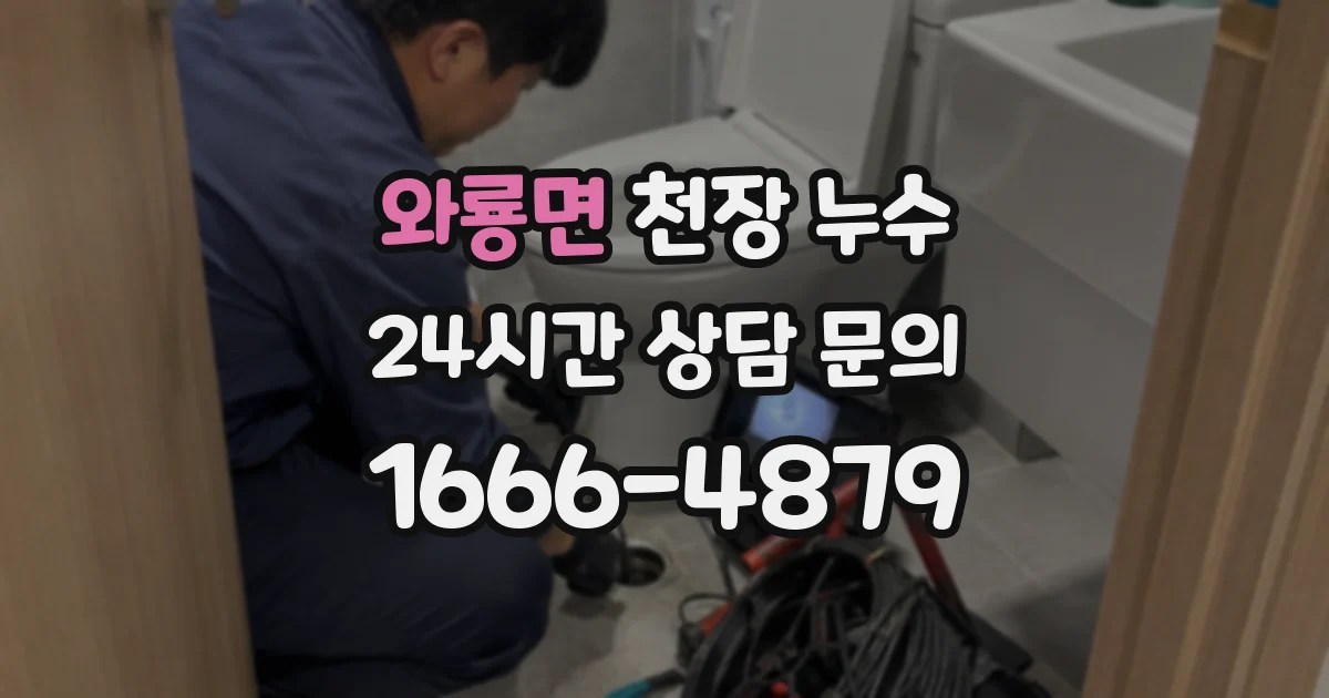 와룡면 천장 누수