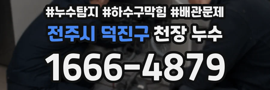 전주시 덕진구 천장 누수