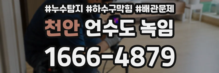 천안 언수도 녹임
