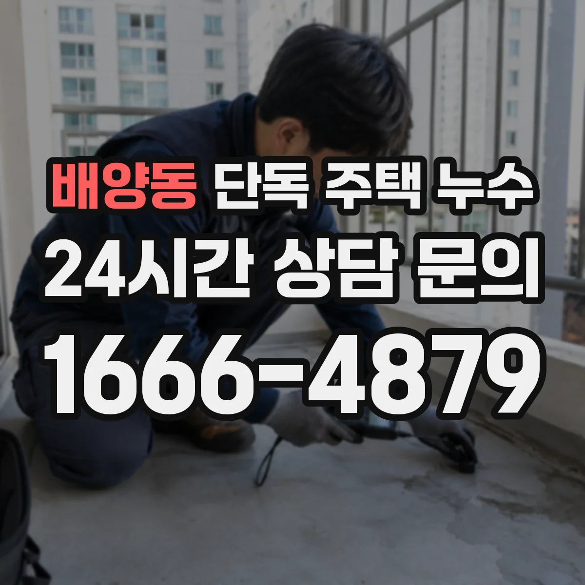 배양동 단독 주택 누수