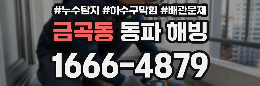 금곡동 동파 해빙