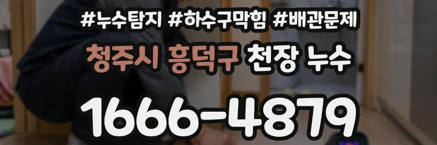 청주시 흥덕구 천장 누수