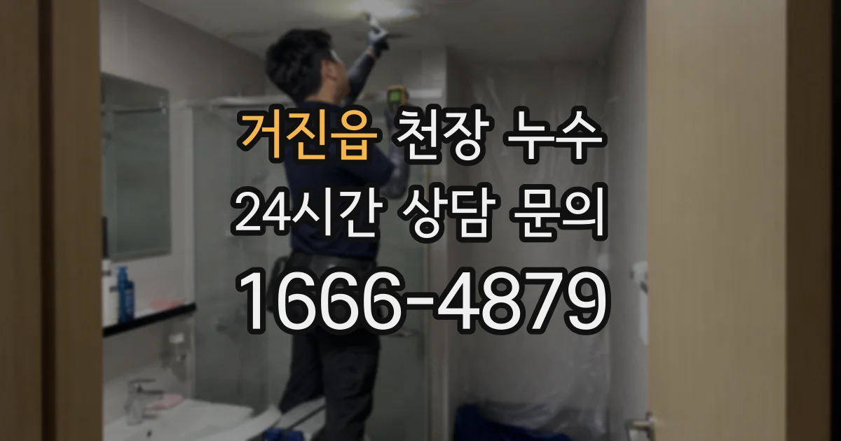 거진읍 천장 누수