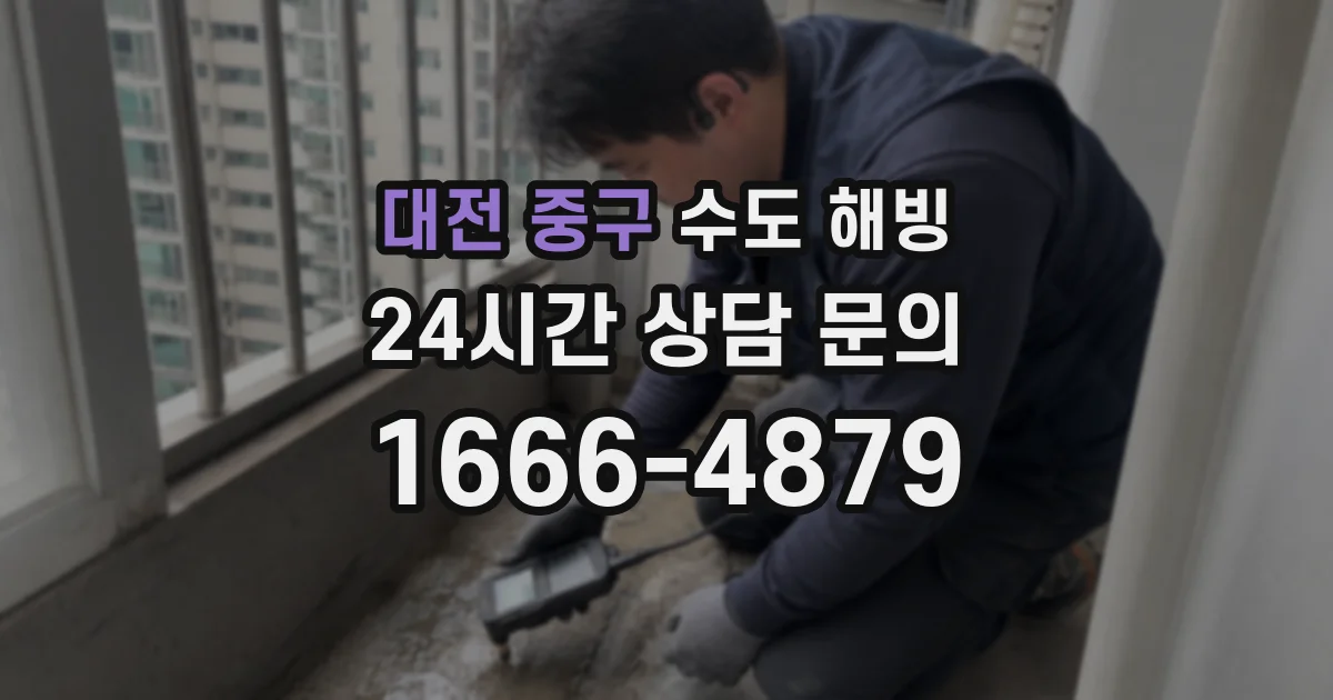 대전 중구 수도 해빙