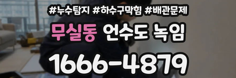 무실동 언수도 녹임