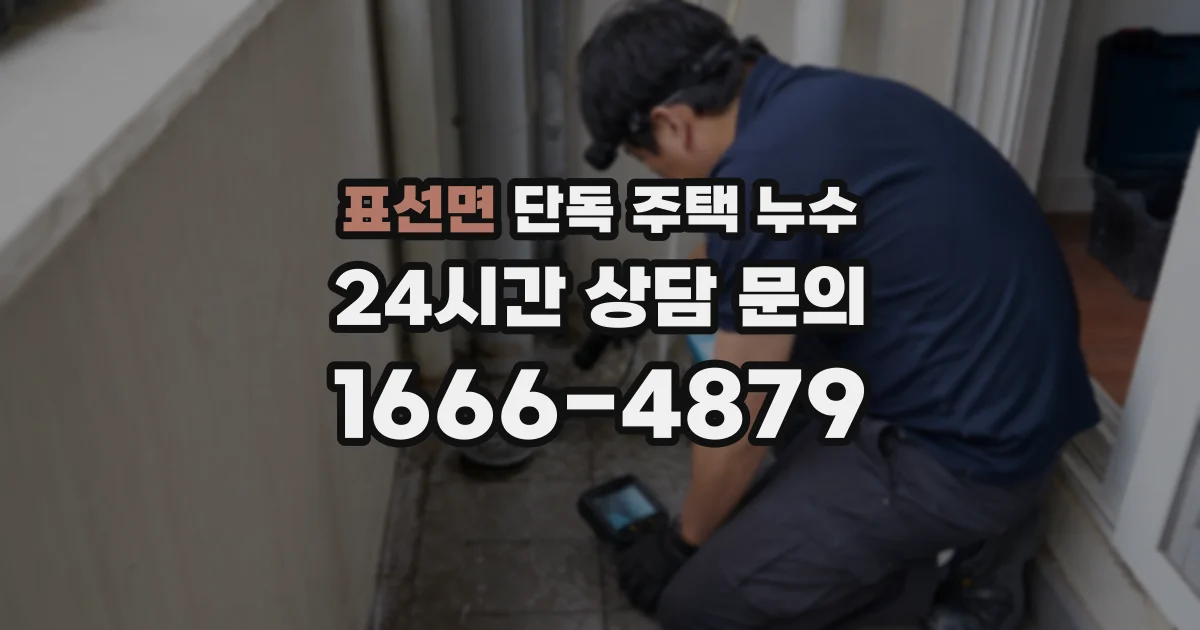 표선면 단독 주택 누수