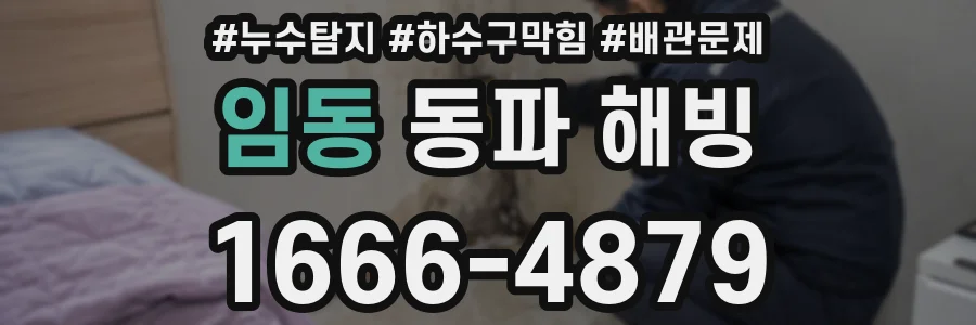 임동 동파 해빙