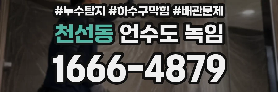 천선동 언수도 녹임