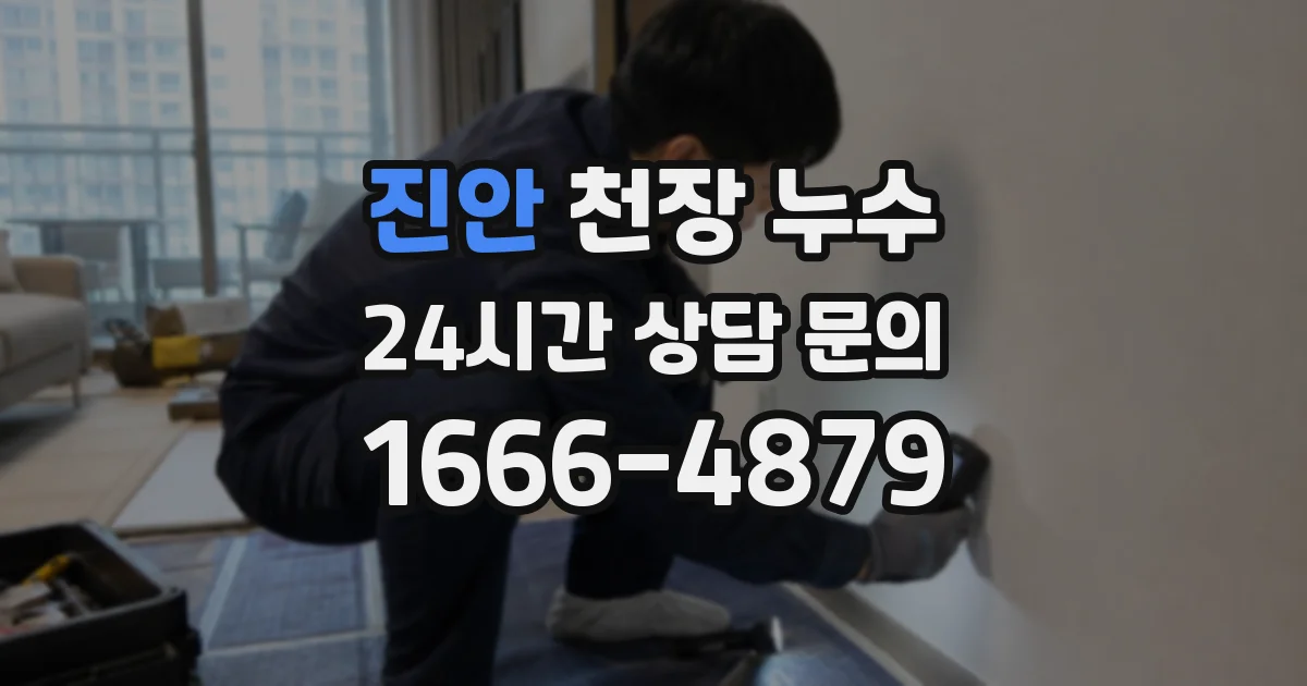 진안 천장 누수