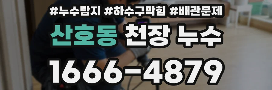 산호동 천장 누수