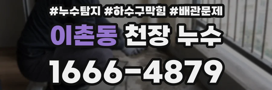 이촌동 천장 누수