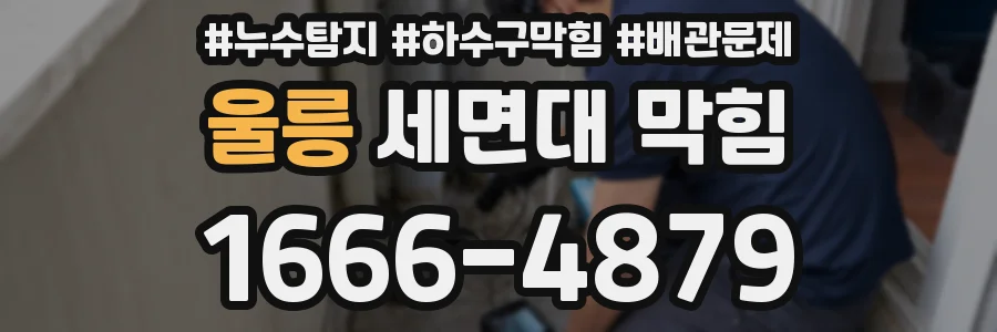 울릉 세면대 막힘