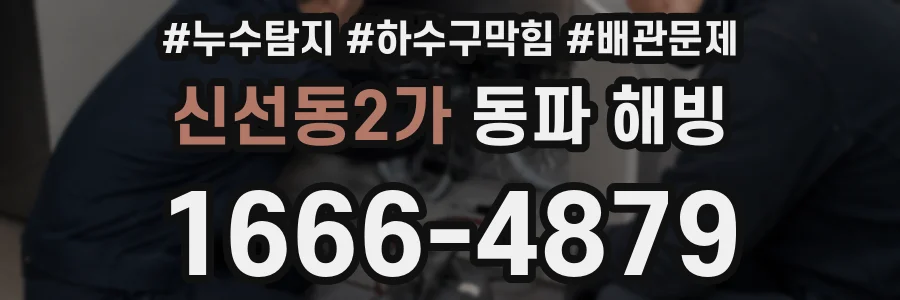 신선동2가 동파 해빙