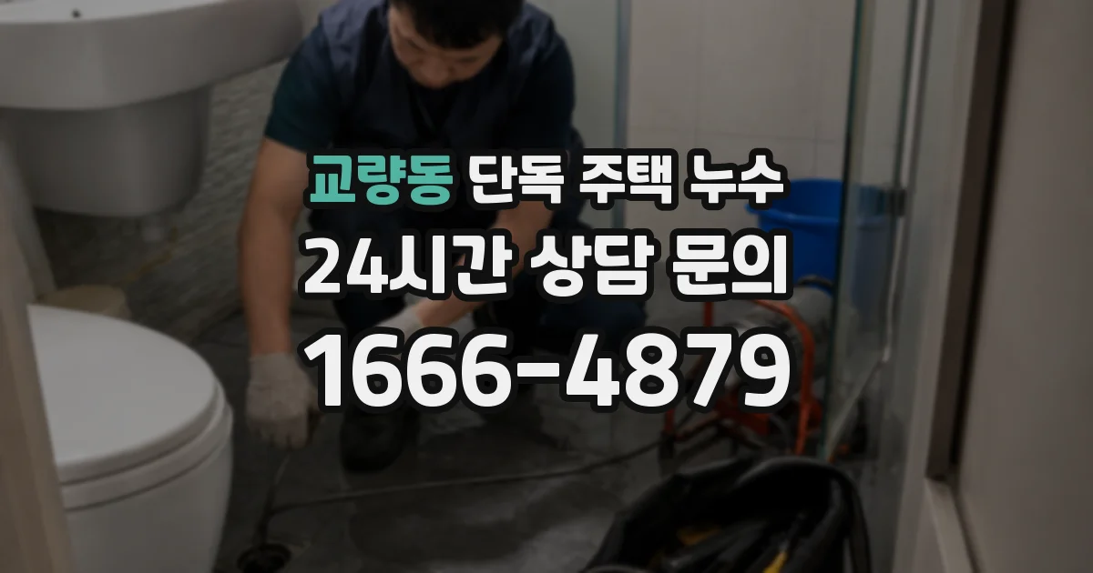 교량동 단독 주택 누수