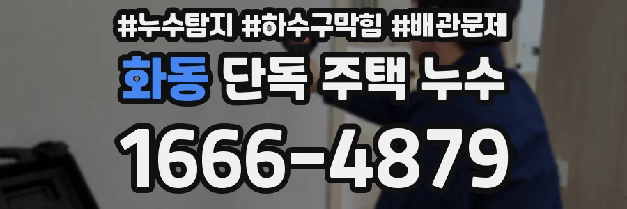 화동 단독 주택 누수